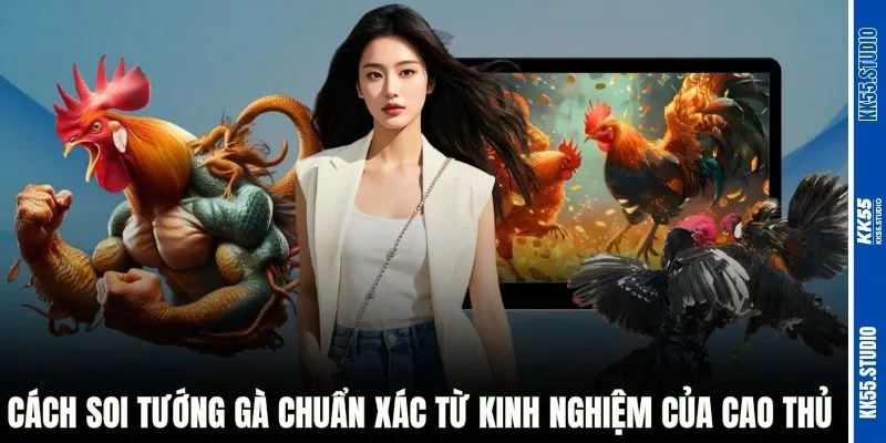 Cách soi tướng gà chuẩn xác từ kinh nghiệm của cao thủ