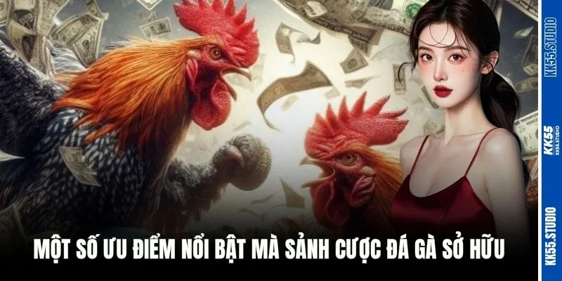 Một số ưu điểm nổi bật mà sảnh cược đá gà sở hữu