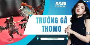Trường Gà Thomo